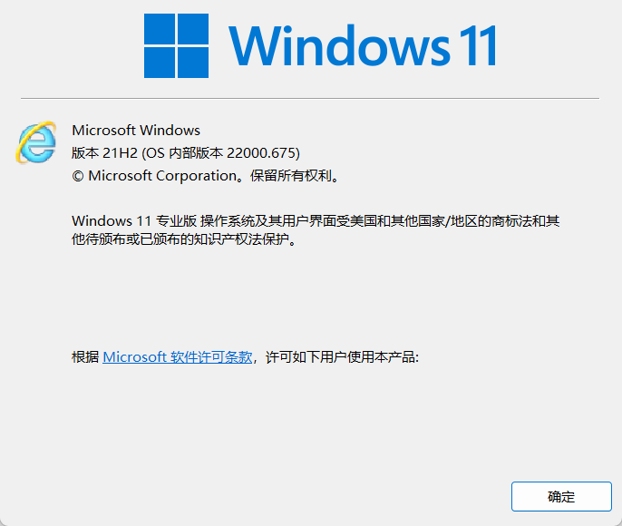 如何在Windows10 Windows11上启用Internet Explorer